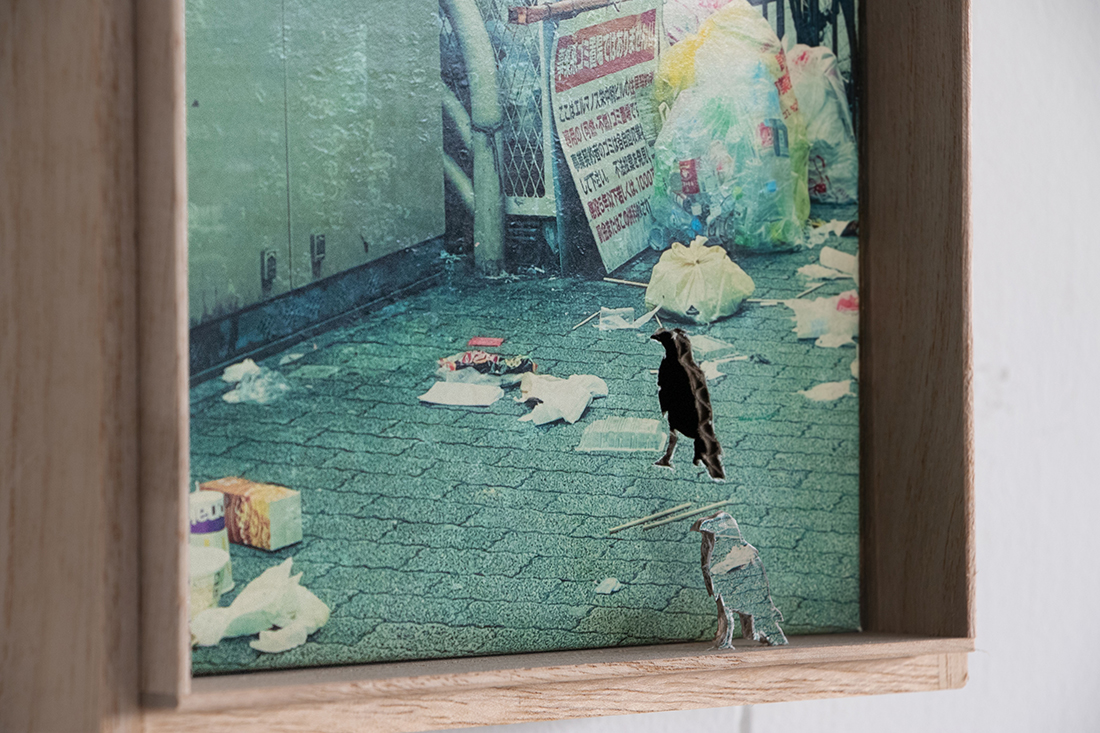 展示風景