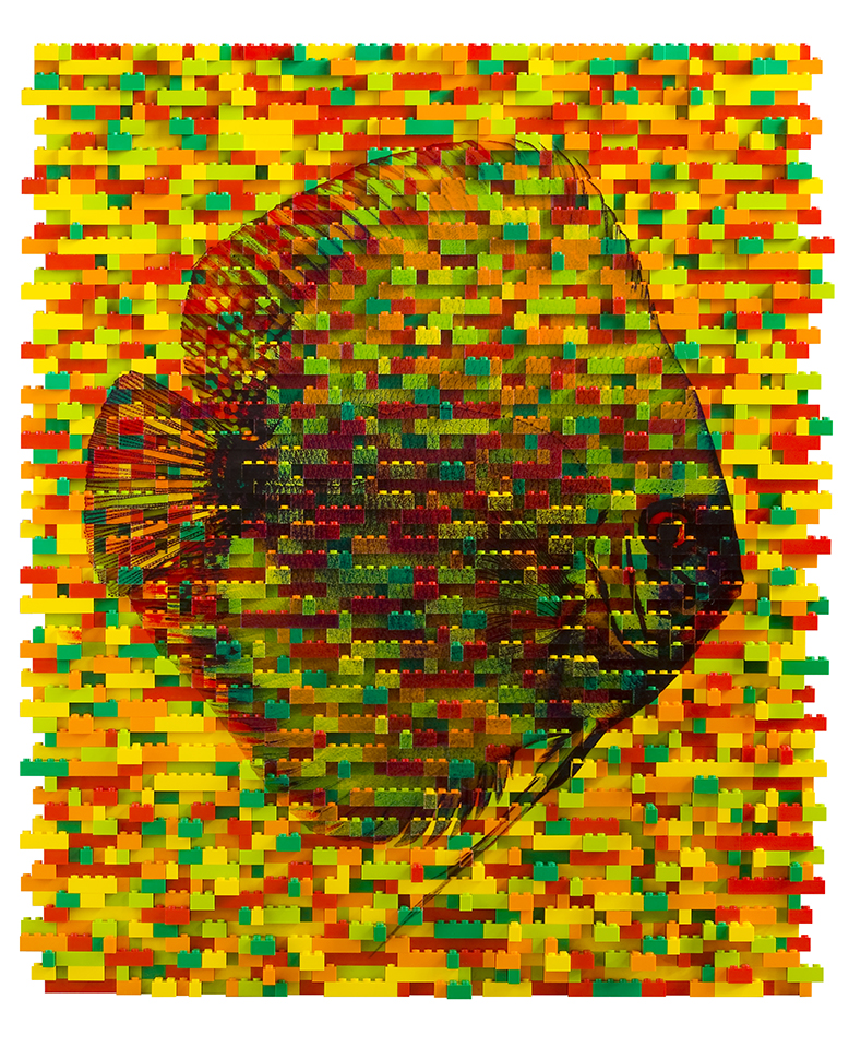 LEGO1