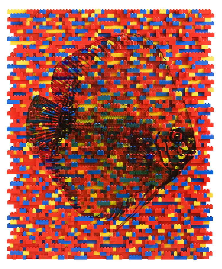 LEGO5