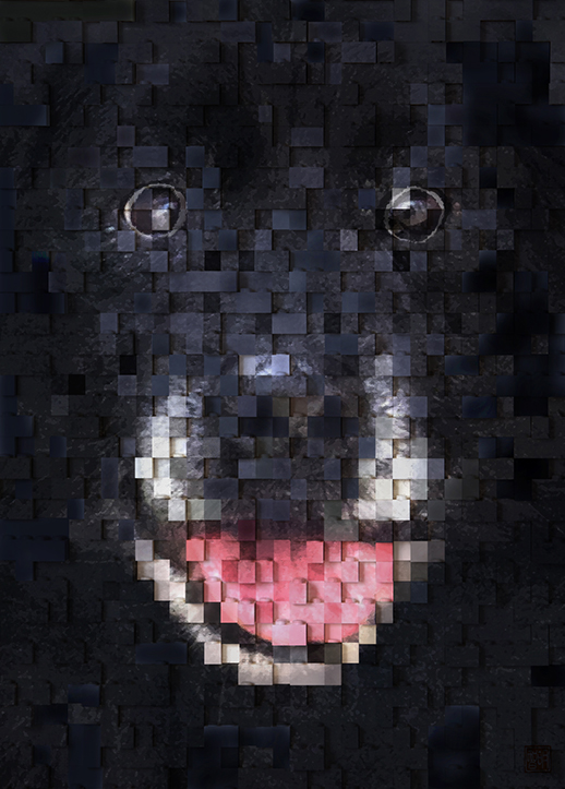 避難犬